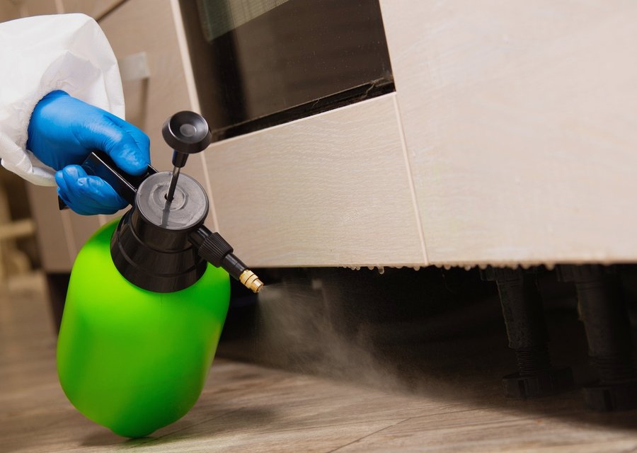 Pest treatment in Bloomingburg, OH