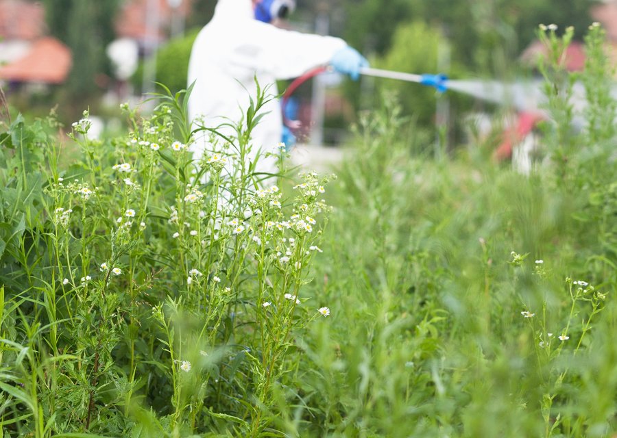 After Hours Pest Control pest control work in Glen Allen