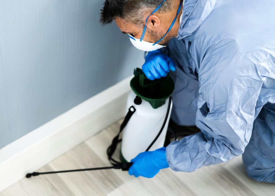 Local exterminator Glen Allen