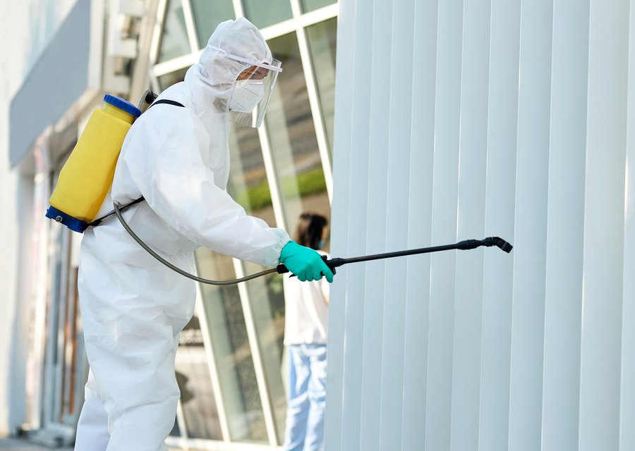 Arenz Pest Solutions Inc pest control work in Carpinteria