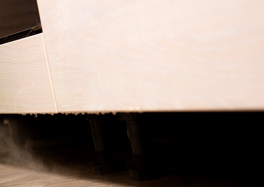 Pest treatment in Carpinteria, CA