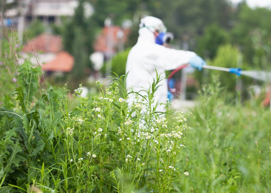 General Environmental Services Inc pest control work in Elizabeth