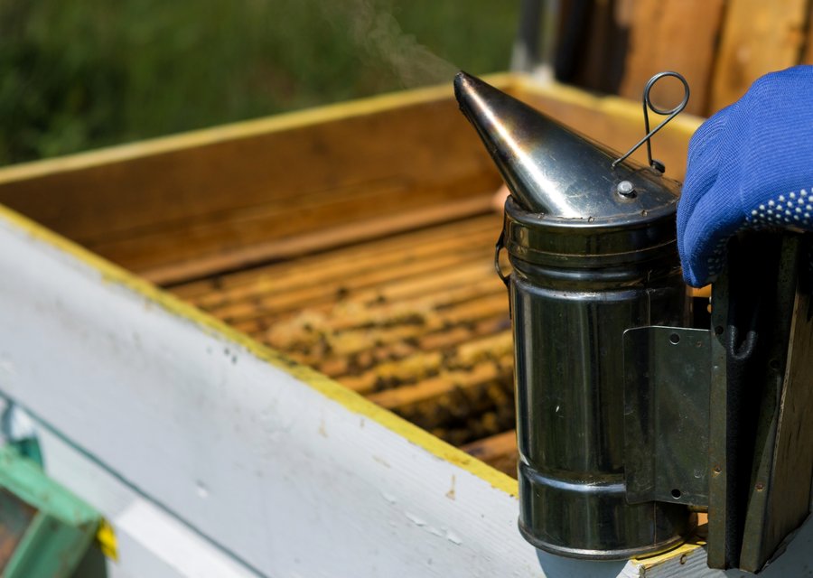 Alltimate pest control pest control work in Englewood