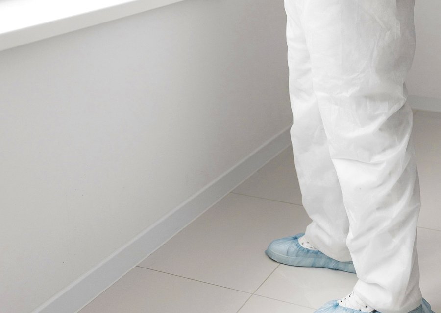 Pest treatment in Akron, OH
