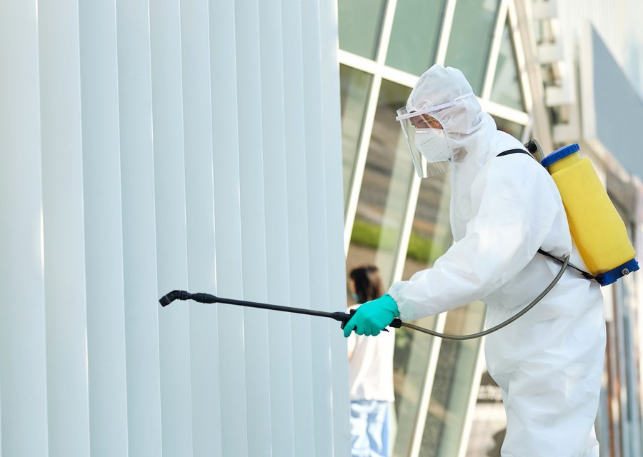 Paramount Exterminating pest control work in Castile