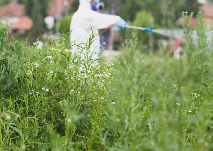 Mosquito Shield pest control work in Crittenden