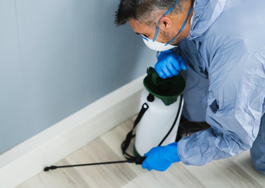 Pest treatment in Crittenden, KY