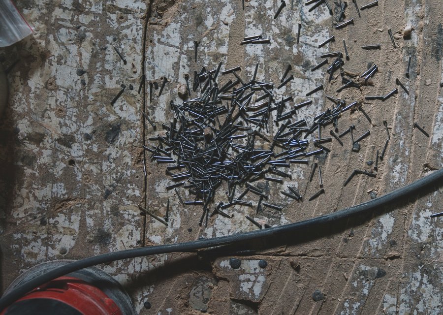 Local exterminator Crittenden