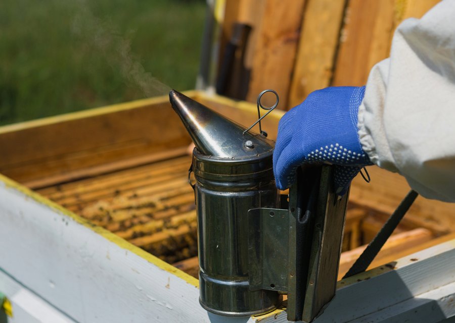 Pest treatment in Bayport, MN