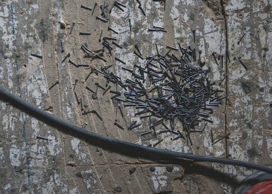 Pest treatment in Alexandria, KY