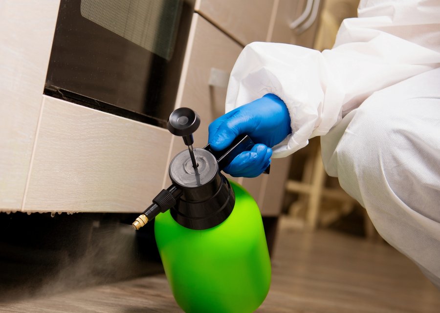 Local exterminator Ashburnham