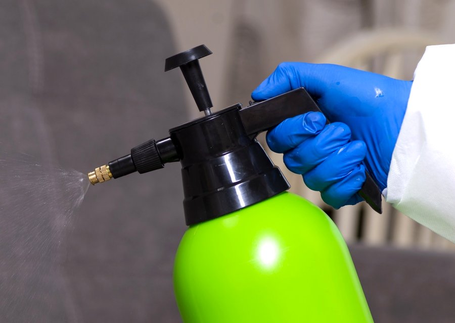 Local exterminator Willow Park