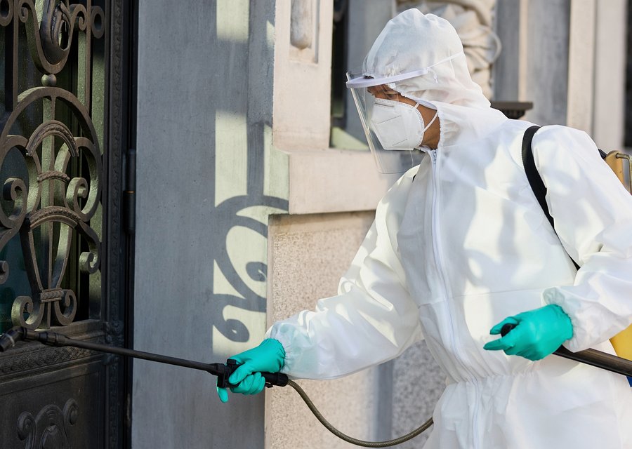 Pest treatment in Bristow, VA