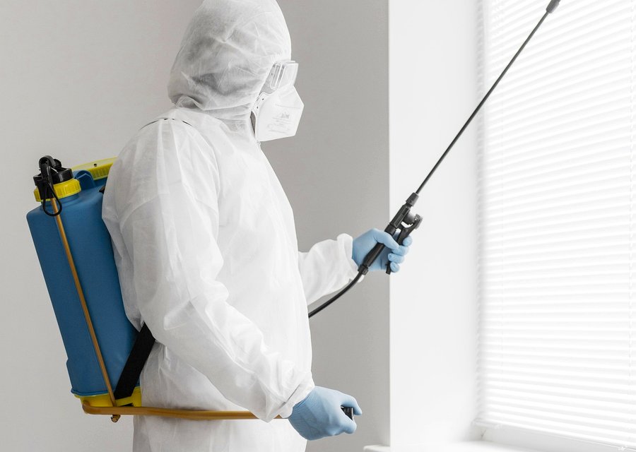 Pest treatment in Islip, NY