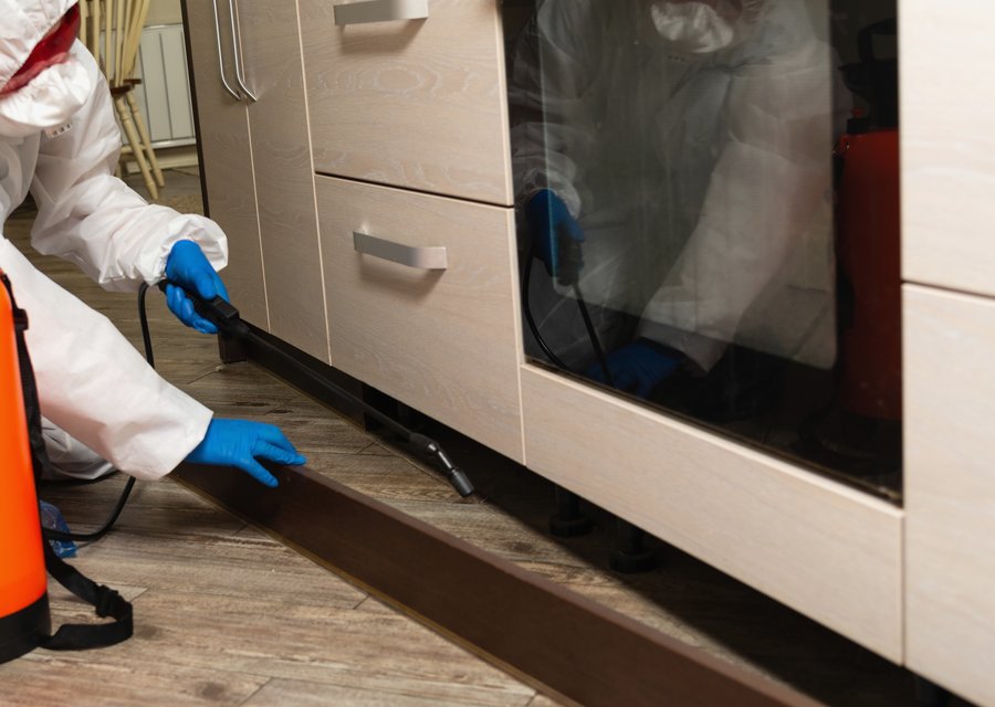Kerwin Pest Control pest control work in Grand Terrace