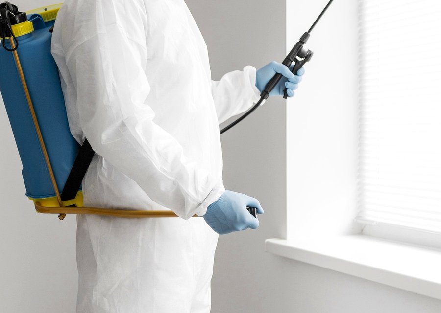 Pest treatment in Grand Terrace, CA