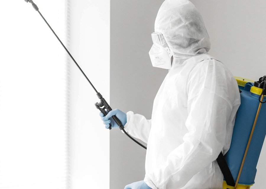 Pest treatment in Machias, NY