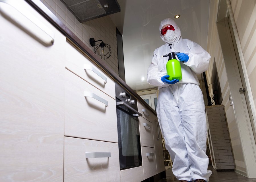 East Coast Pest Control pest control work in Florence