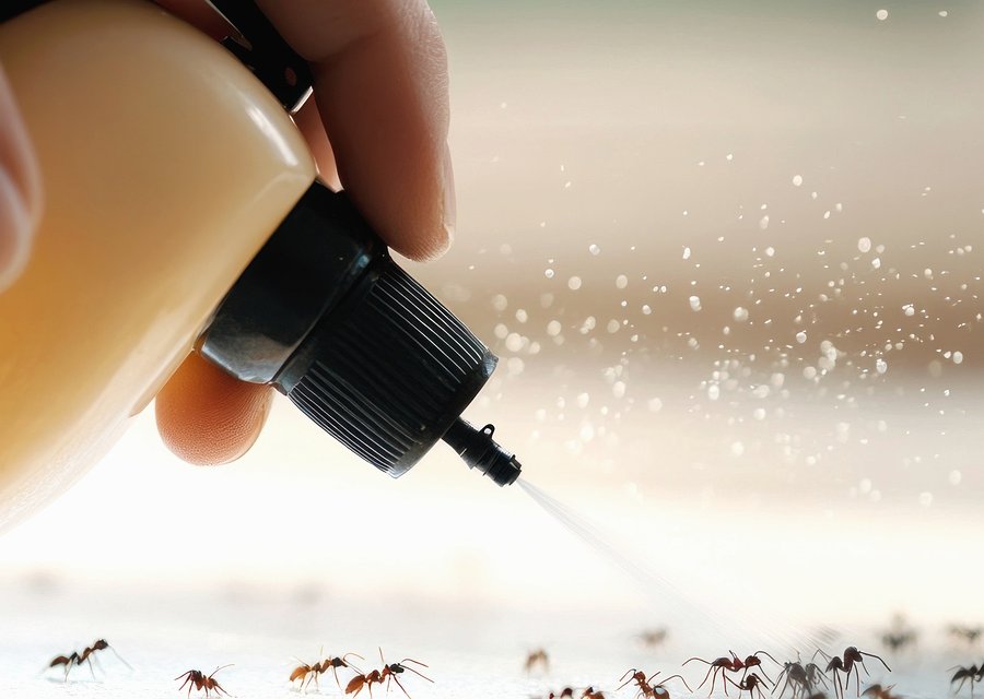 1st Class Pest & Termite LLC pest control work in East Rutherford