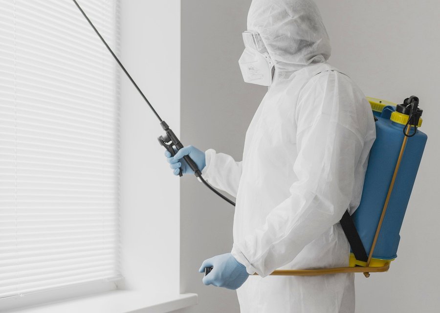 Backyard Dome pest control work in Babylon