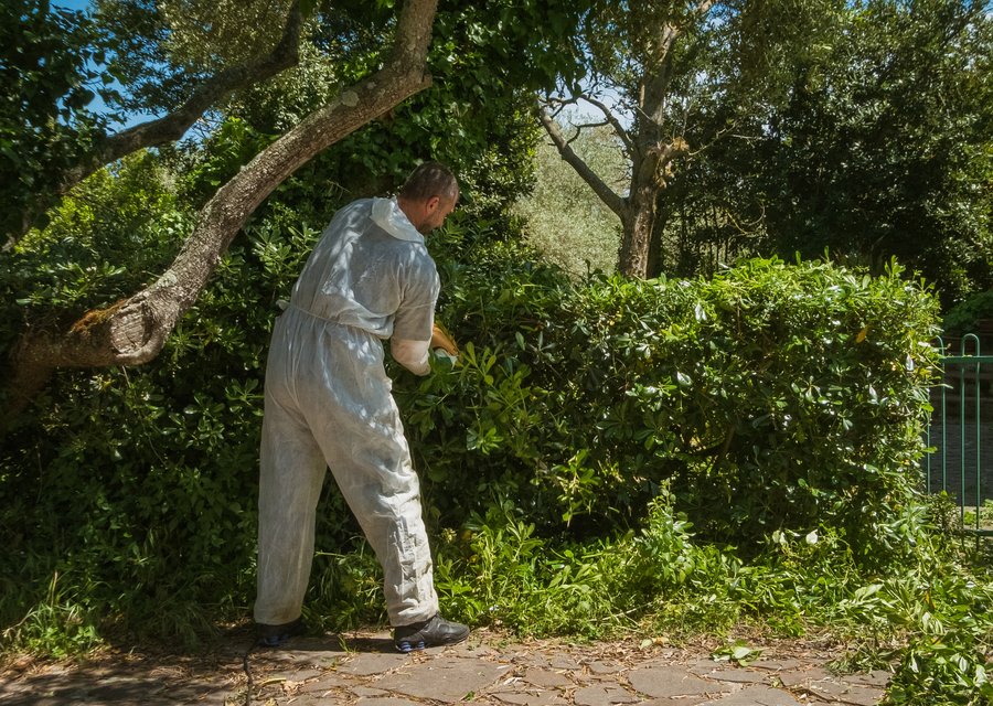 Hunter Pest Control pest control work in Flossmoor