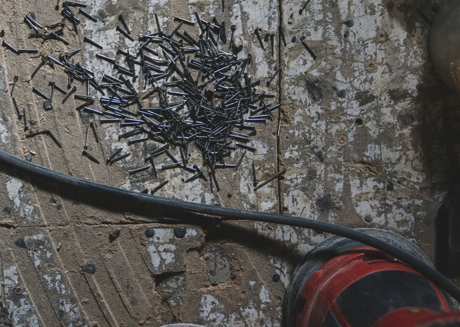 Pest treatment in Bardstown, KY