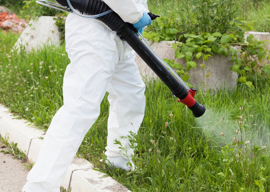 Local exterminator Bardstown