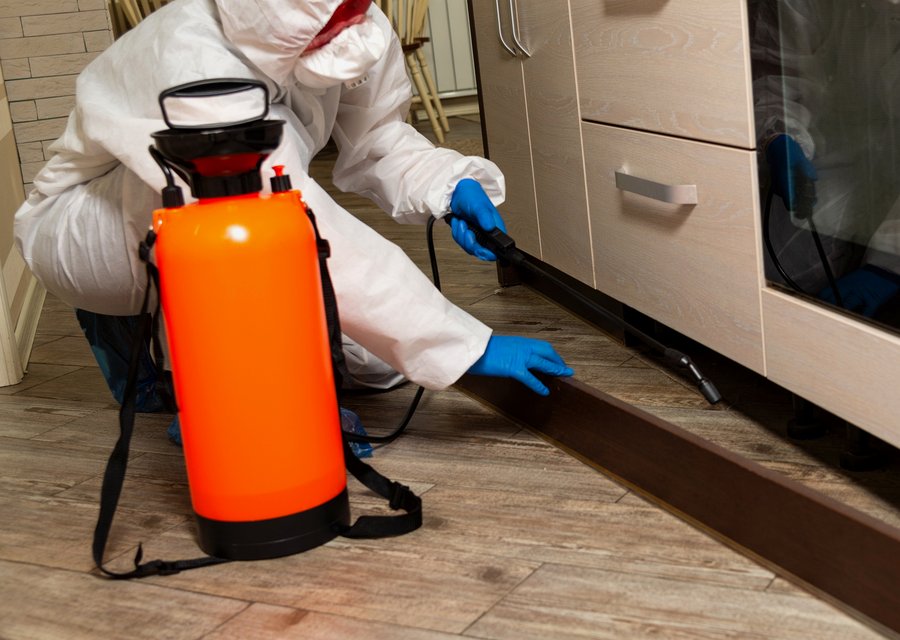 Pointe Pest Control pest control work in Wilkins