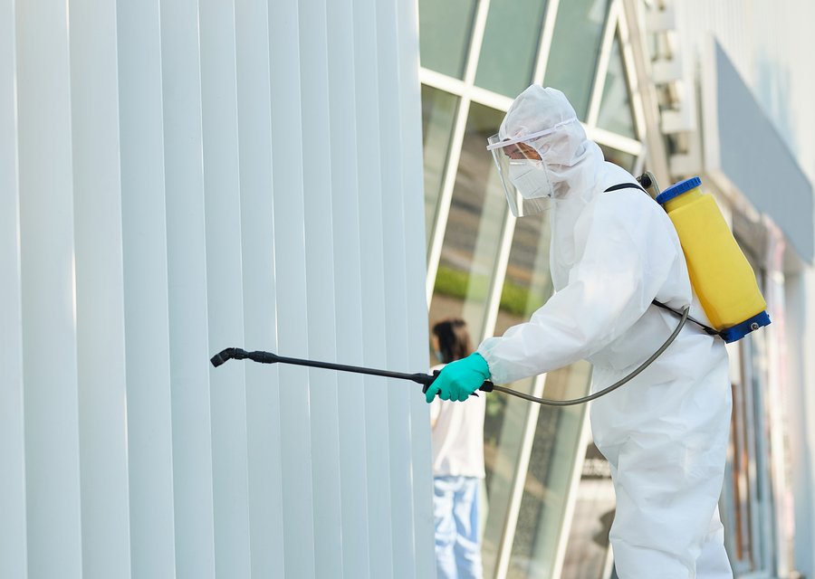 Bugman For You Pest Services pest control work in Hanover
