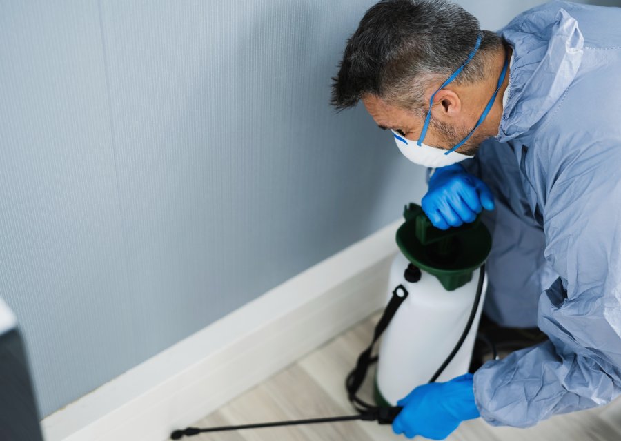 Local exterminator Alvarado