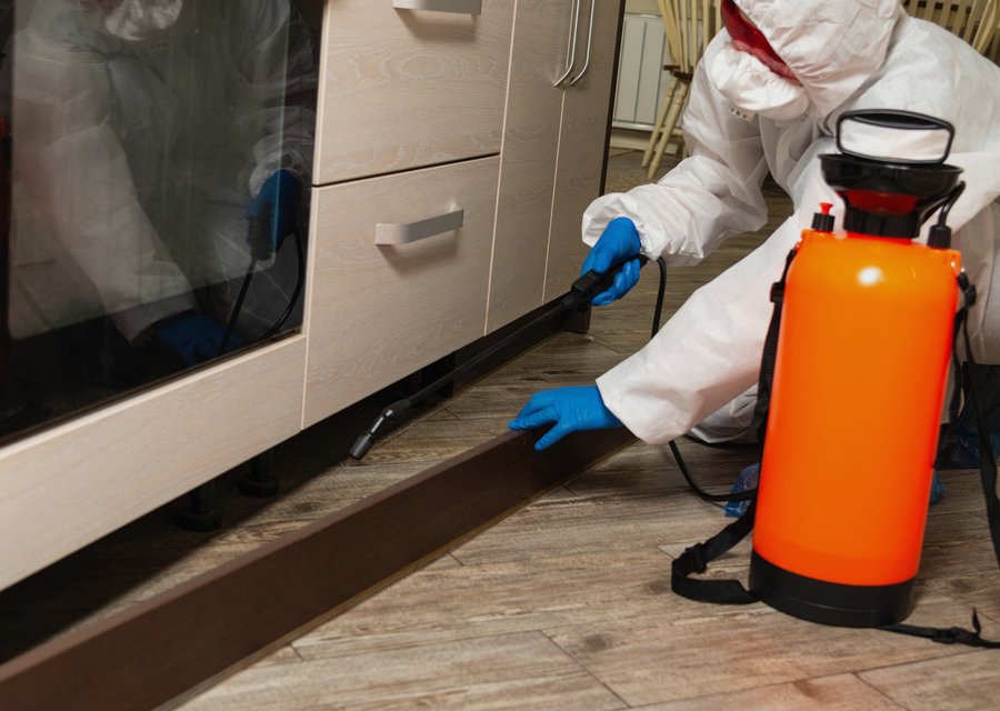 Local exterminator Carleton