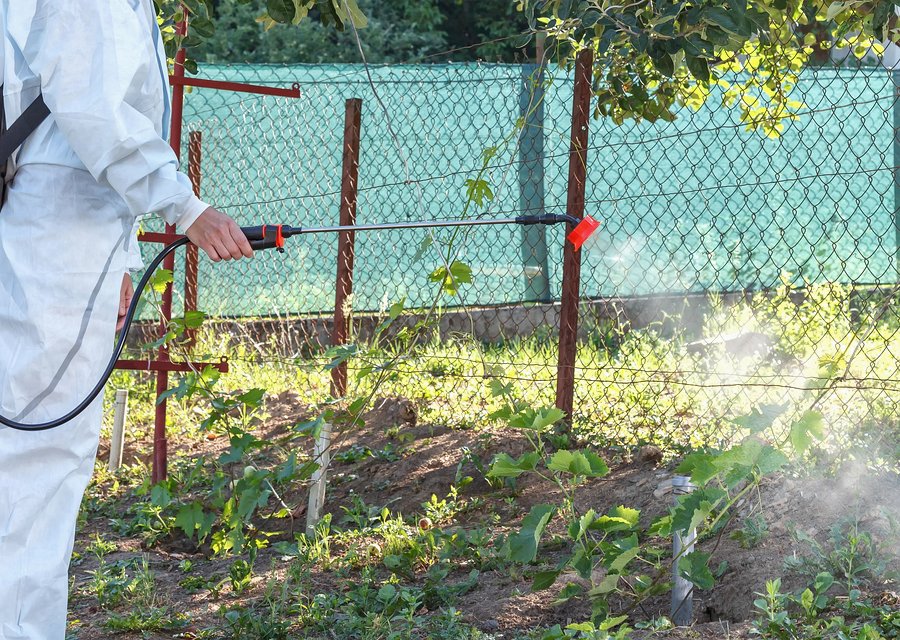 Pest treatment in Gloucester, NJ