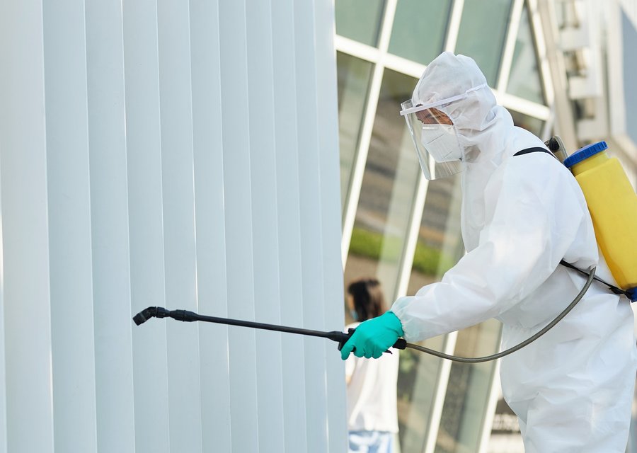 Pest treatment in Bolingbrook, IL