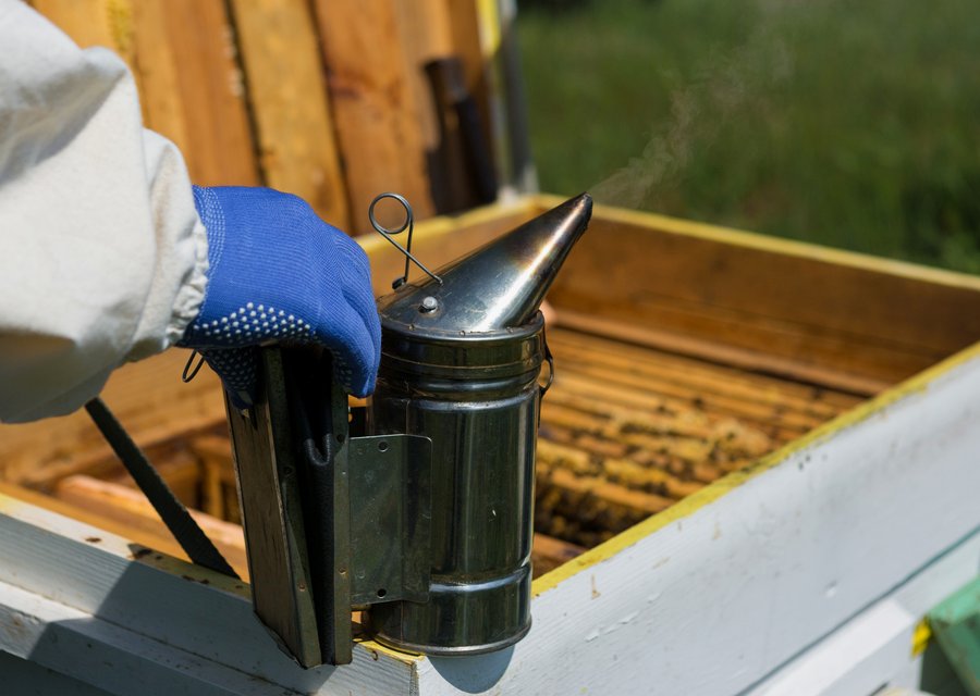 Pest treatment in Garwood, NJ