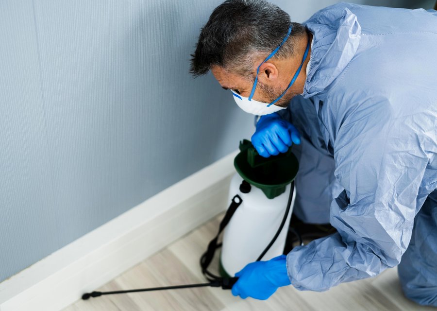 Local exterminator Flemington