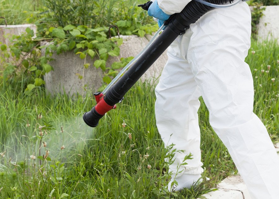Pest treatment in Clairton, PA