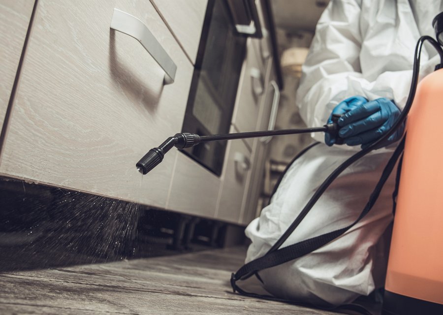 Bugs Be Gone Pest Control pest control work in Eagle Point