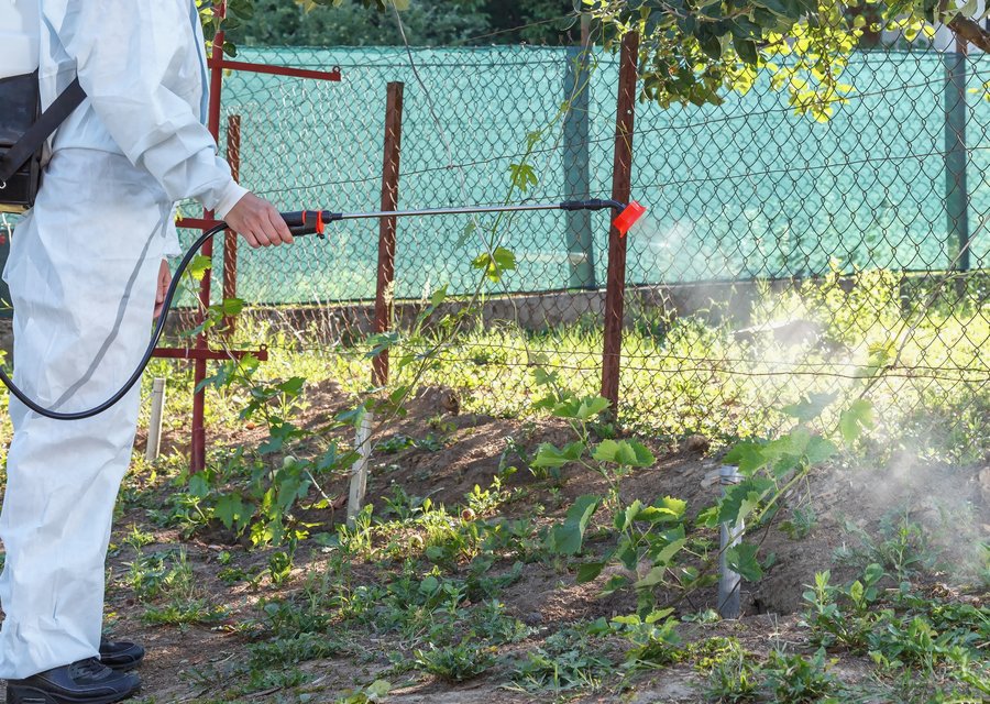 Pest treatment in Brownsburg, IN
