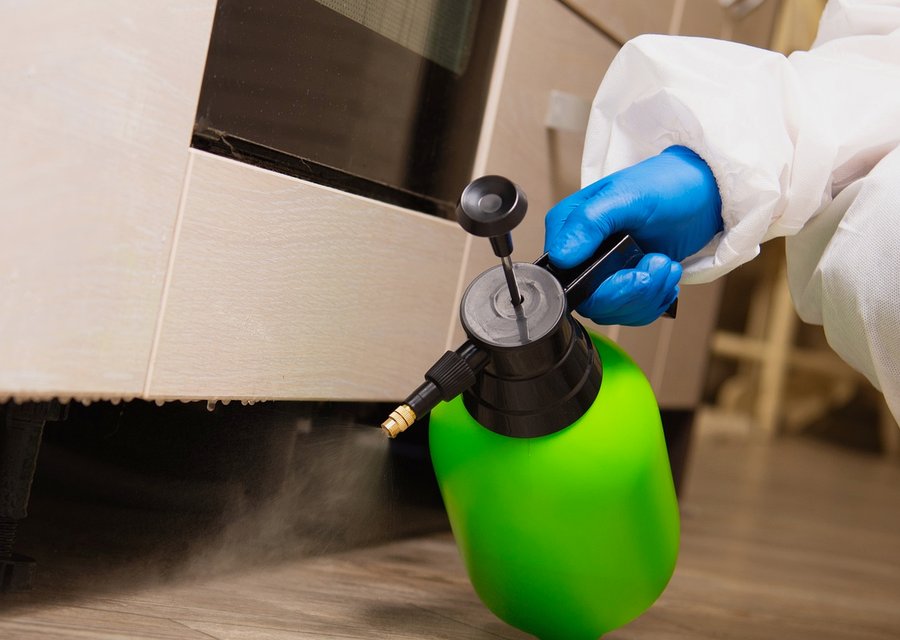 Pest Plus Termite & Pest Control pest control work in Girard