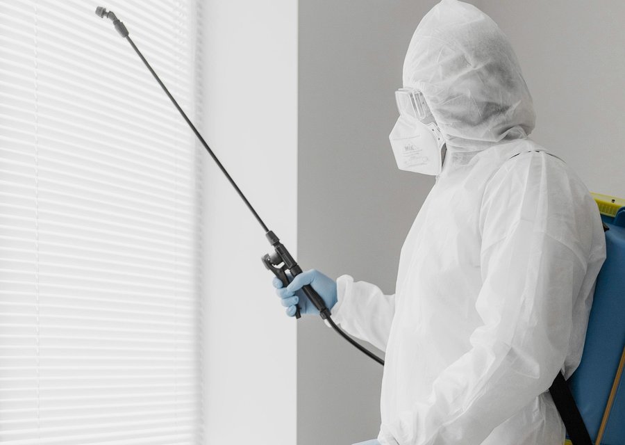 Clever Pest Solutions pest control work in Fountain Inn