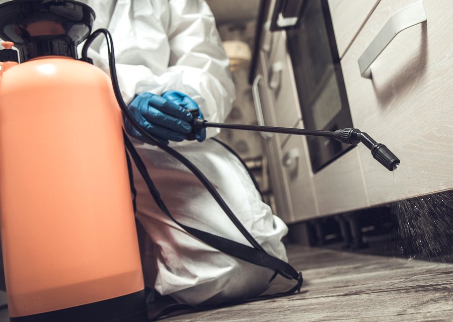 Gateway Bed Bugs pest control work in Oyster Bay