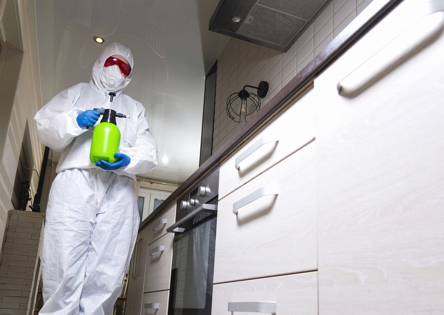 Mid Pest Solutions pest control work in Crouse