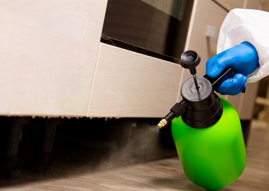 Catseye Pest Control pest control work in Springfield