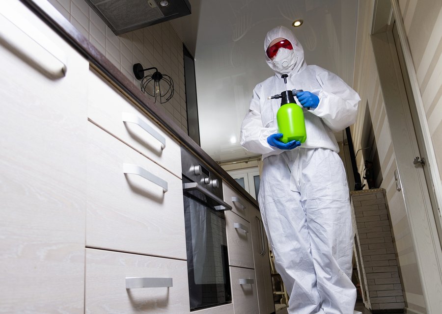 Pest treatment in Forest Lake, MN
