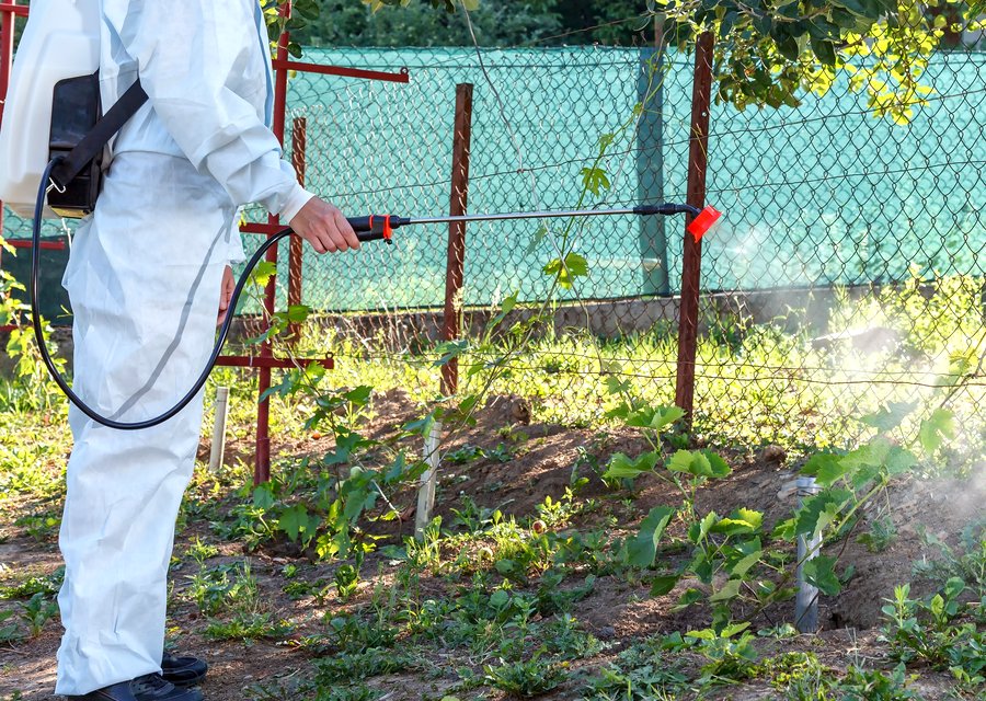 Pest treatment in Bryan, OH