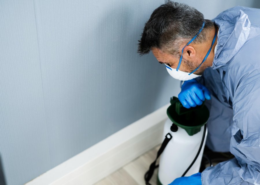 All American Pest Control pest control work in Beaver Dam