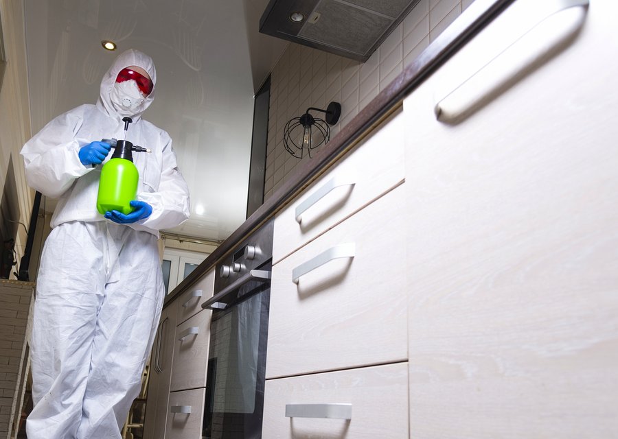 Pest treatment in Beaver Dam, WI