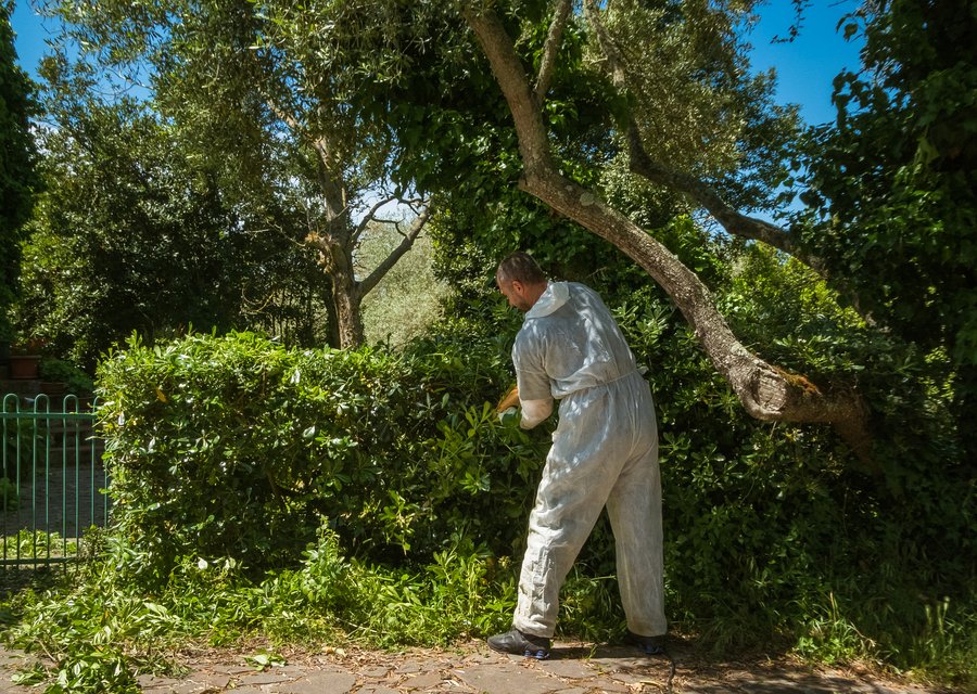 Nature Shield Pest Solutions pest control work in Gervais