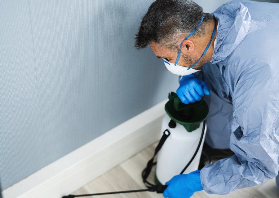 Abra Kadabra Environmental Services pest control work in Cranford