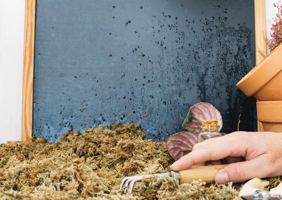 All Friendly Mole Control & Pest Services pest control work in Delaware